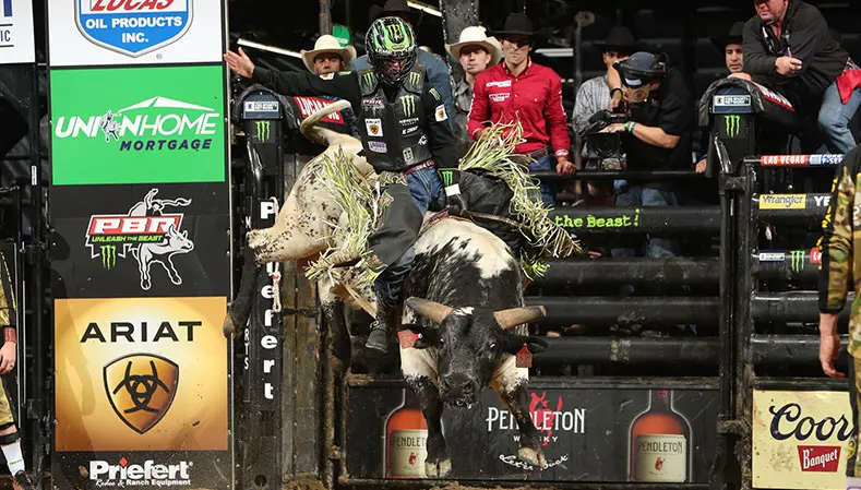 Leme happy with the improvement he is beginning to show with bulls away from his hand