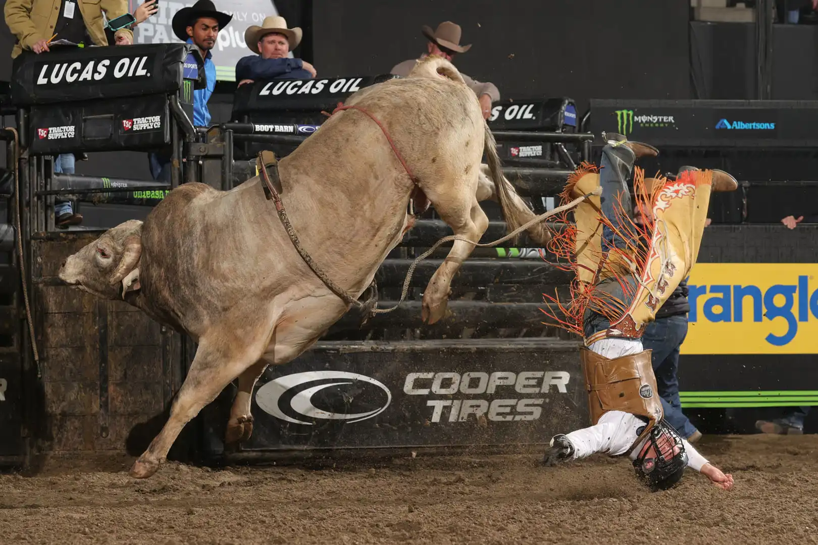 61532848-dfb9-42e0-b59d-0881f3bd65ce