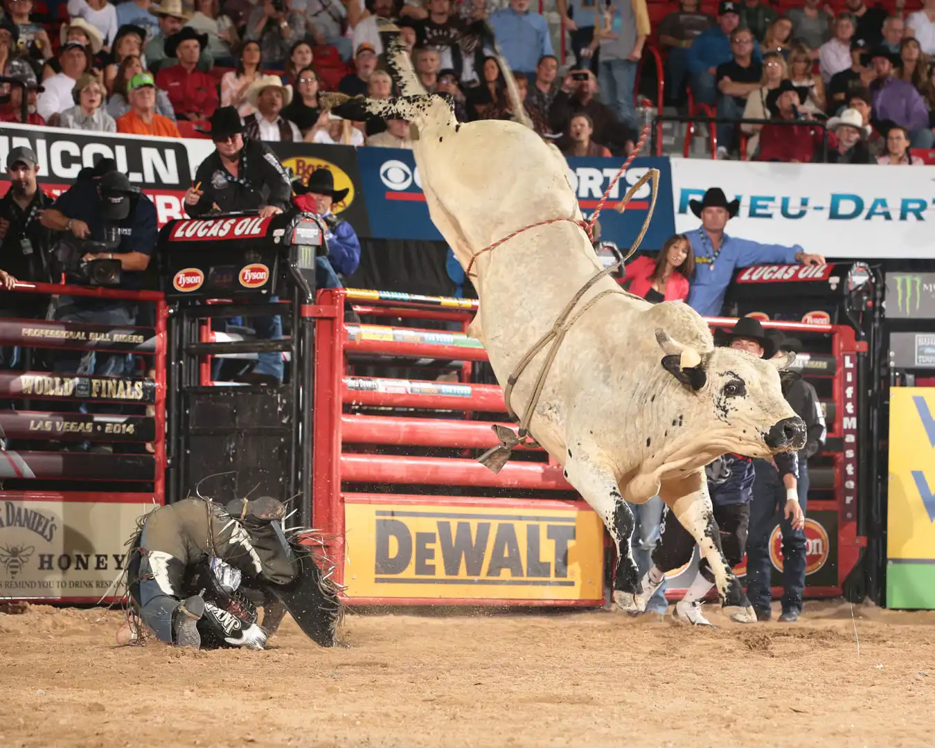 accae6c7-5a25-454f-a218-df3f97486575