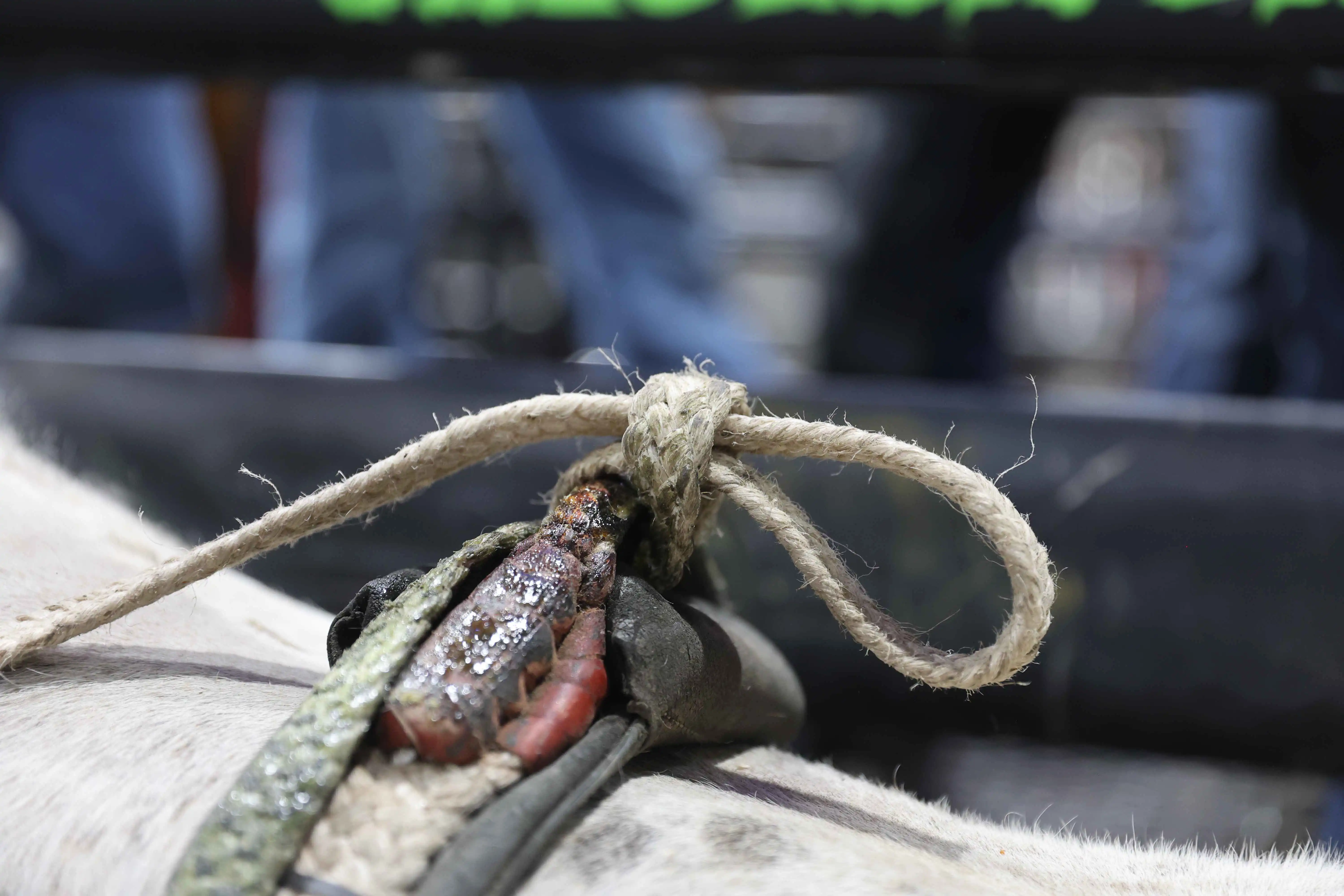 25 LIVE Nampa 01 157