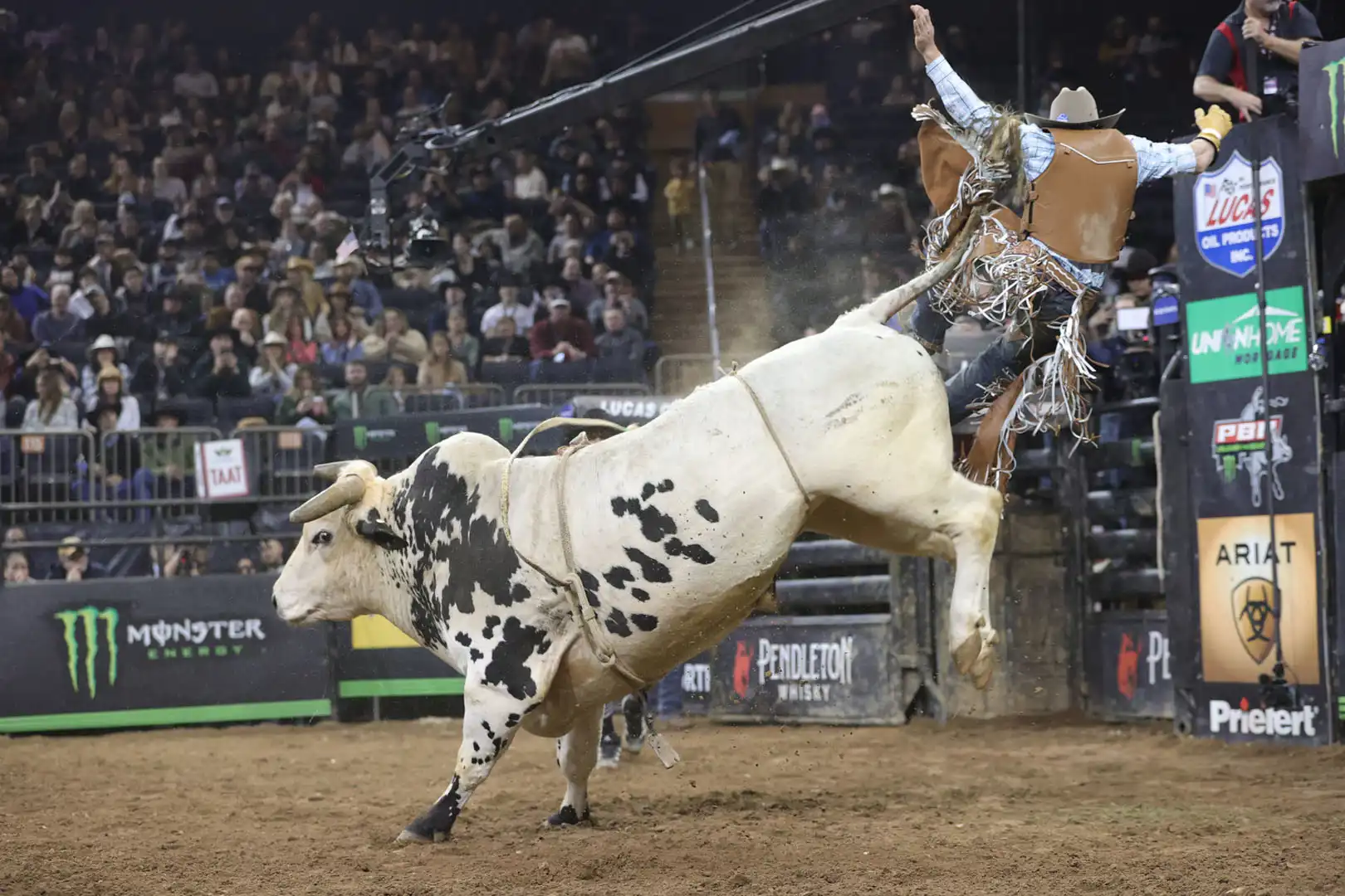 d6aa7dee-376c-4c1c-b278-537b612b5cb6