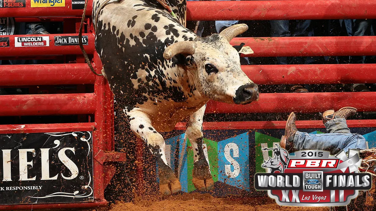 Breaking down the World Champion Bull contenders