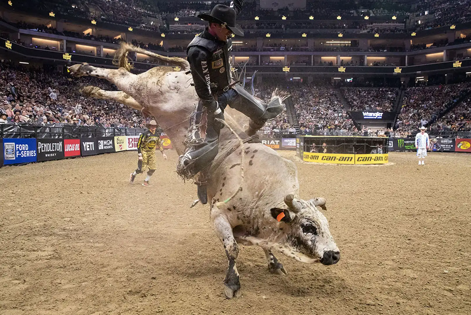 33949aba-0bb1-48ed-be39-8682dc280b9c