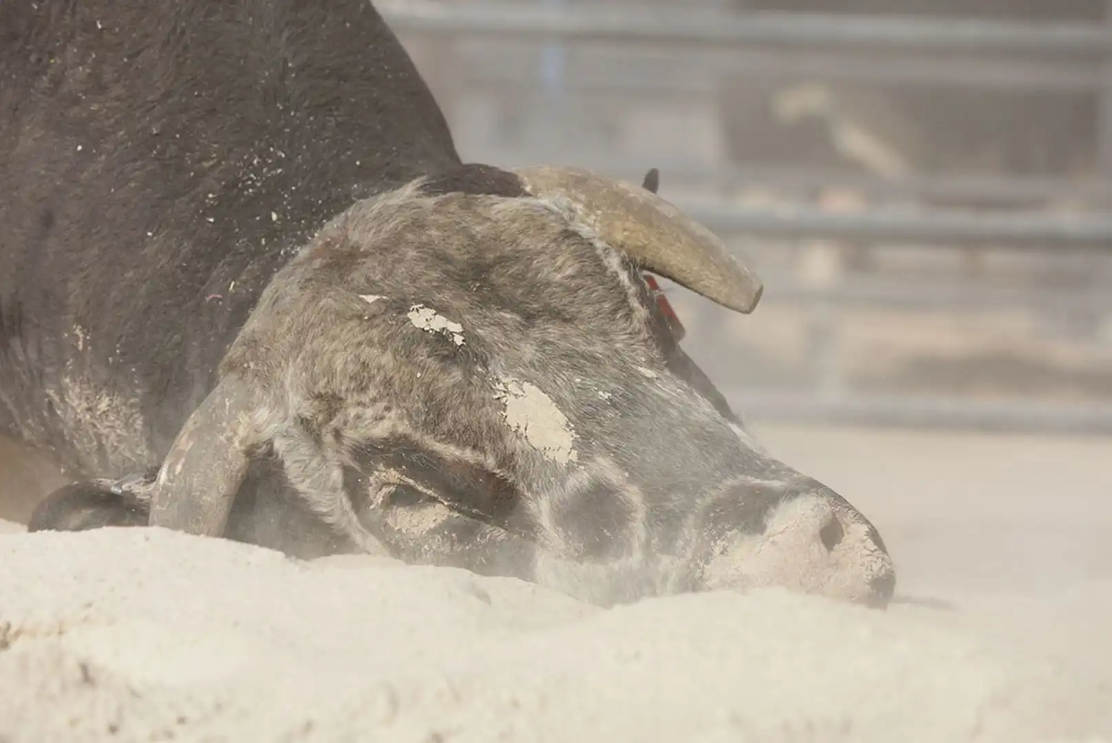 fa3c7003-d1ae-479e-920a-71de542fa03b