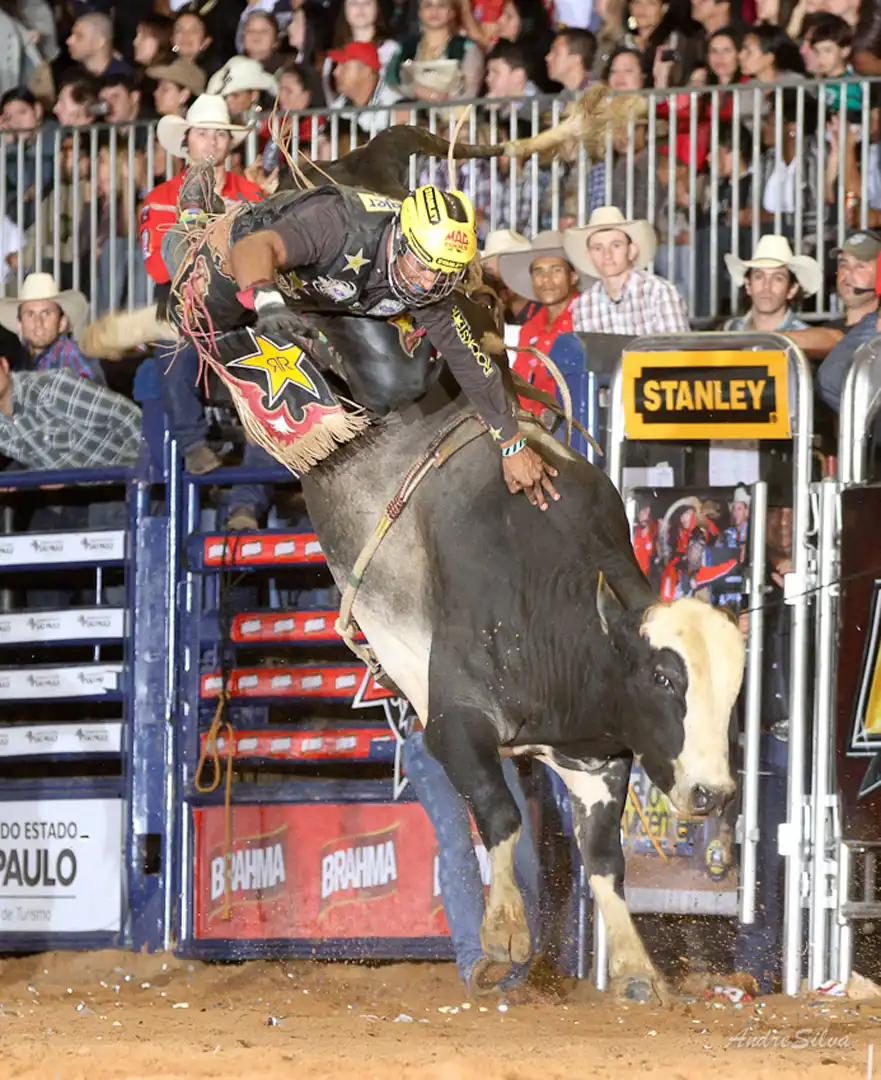 5c7e60dd-1b81-46f1-8a45-deebb007e583