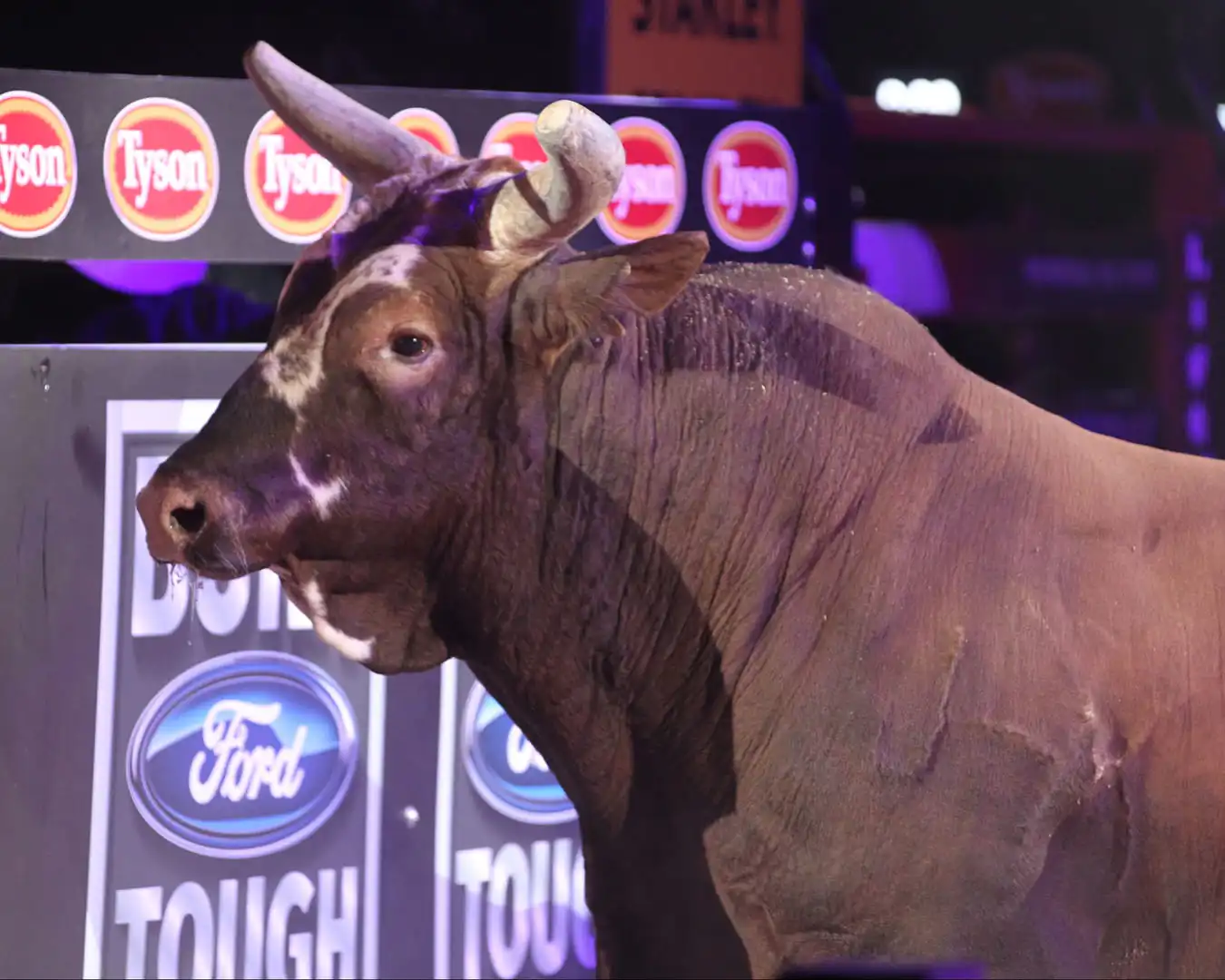 be370ee2-ba17-4506-8887-865b5ceed6e8