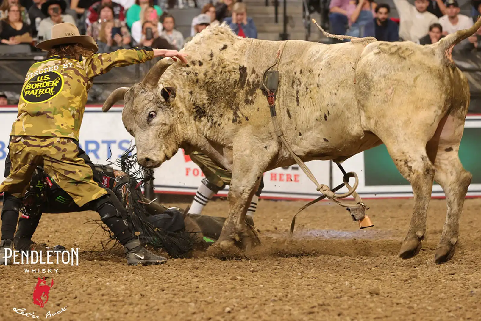 f909a44a-164a-462d-8a8f-88023176730b