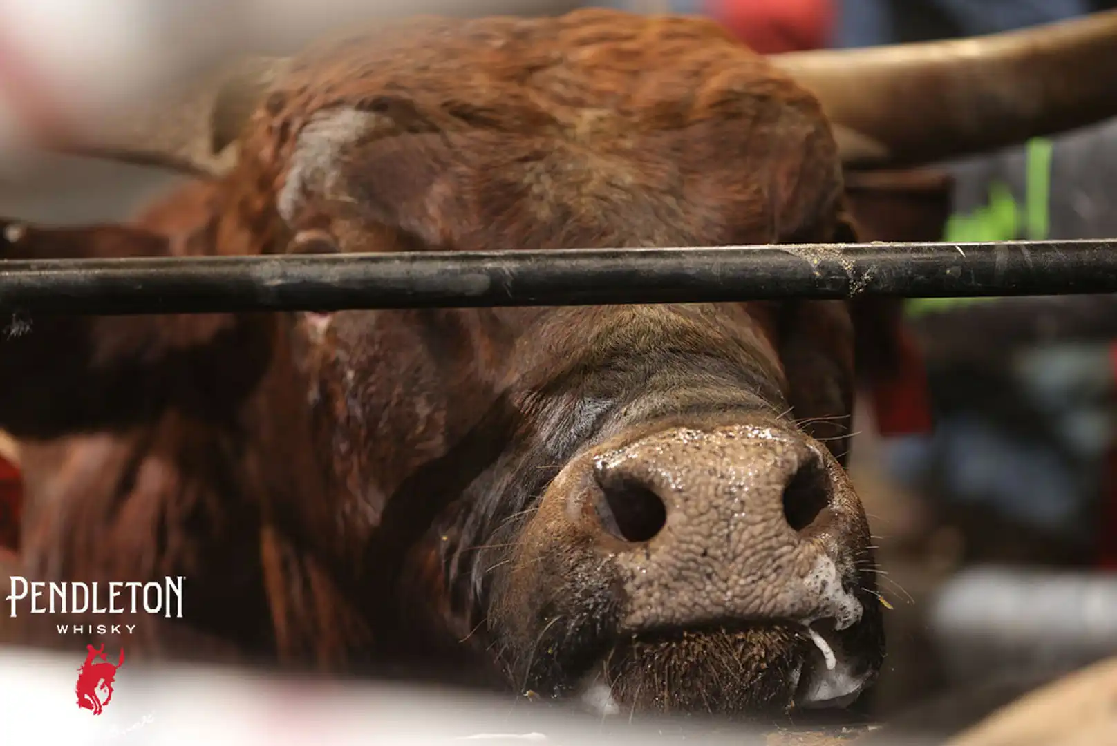 373daa03-8f15-485e-bb02-f261d7a607a1