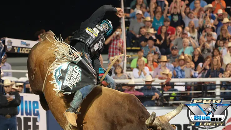 Winners of the 2015 BFTS Summer Break
