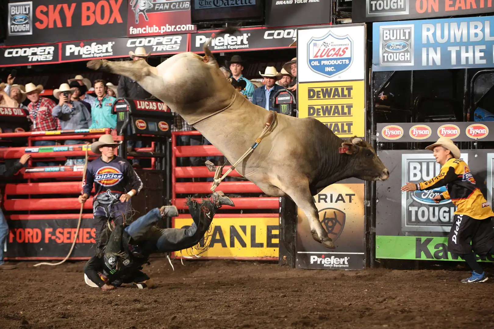 680188c1-cd5a-4586-8fa6-a647b2bb8989