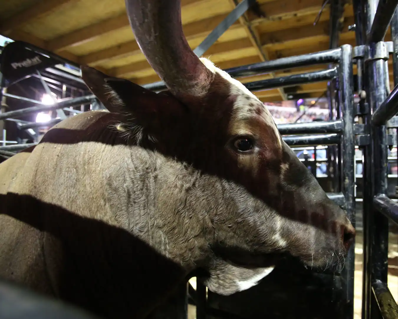 19fae007-3b4a-4057-a7a1-6d045c10351d