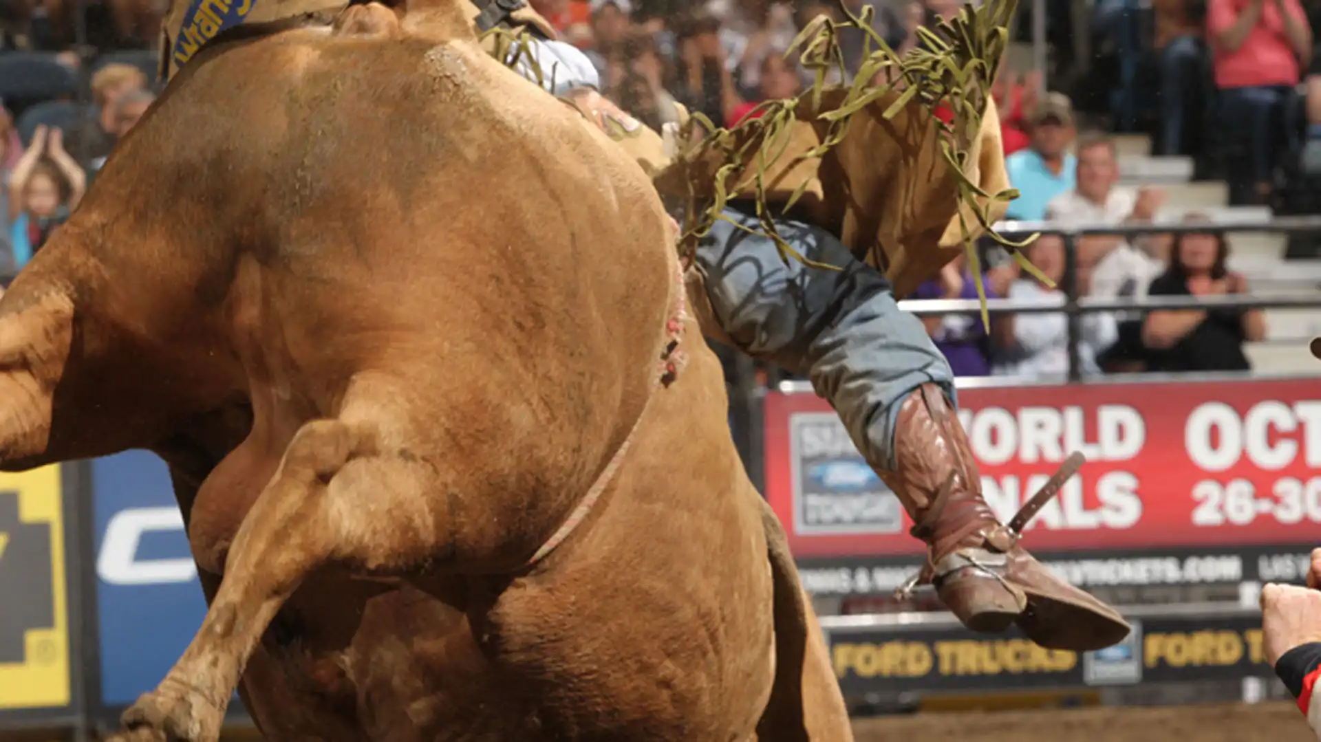 00c01f4a-4f02-4fb1-897e-6fa45a38d1ff