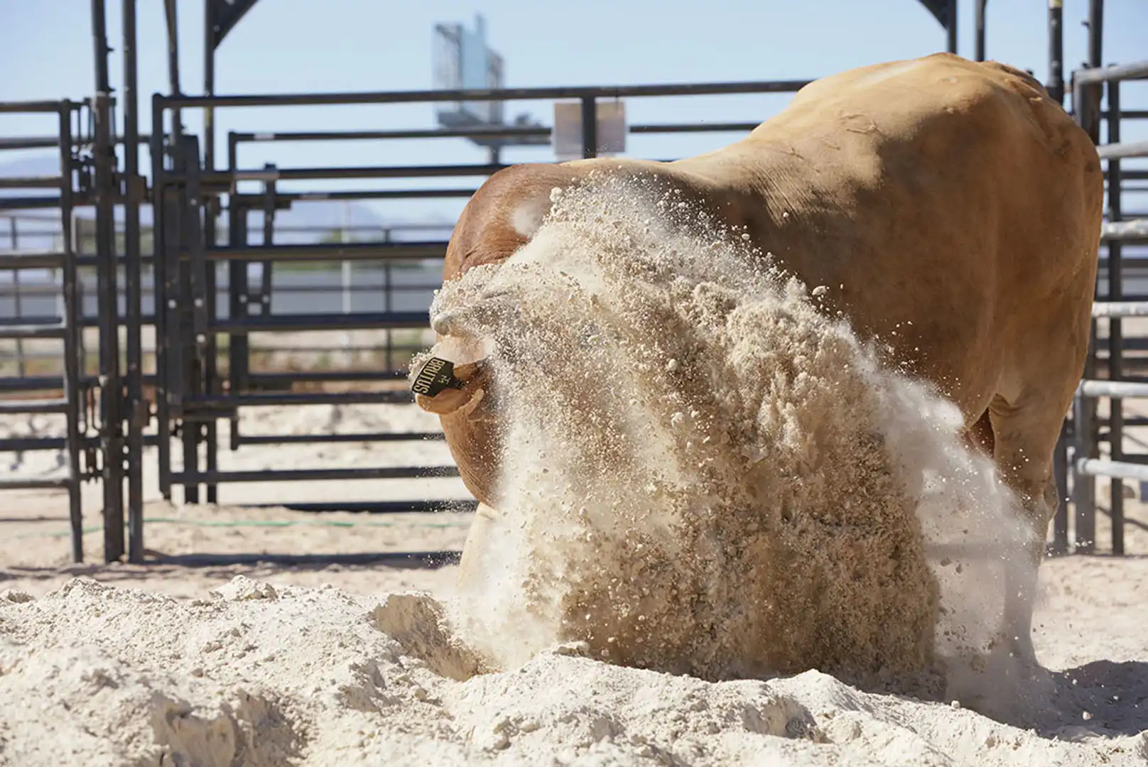 c908bccd-5fd4-44f3-b77c-17787266ffa4