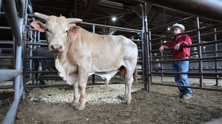Want to Contact Owen Bull? Find Reliable Ways Right Now!