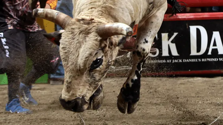 In the bull pen: Nampa