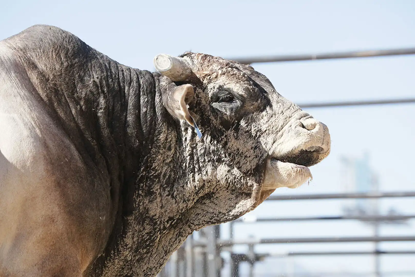 57a1d9ac-613f-4244-a91d-4f4bb8254013