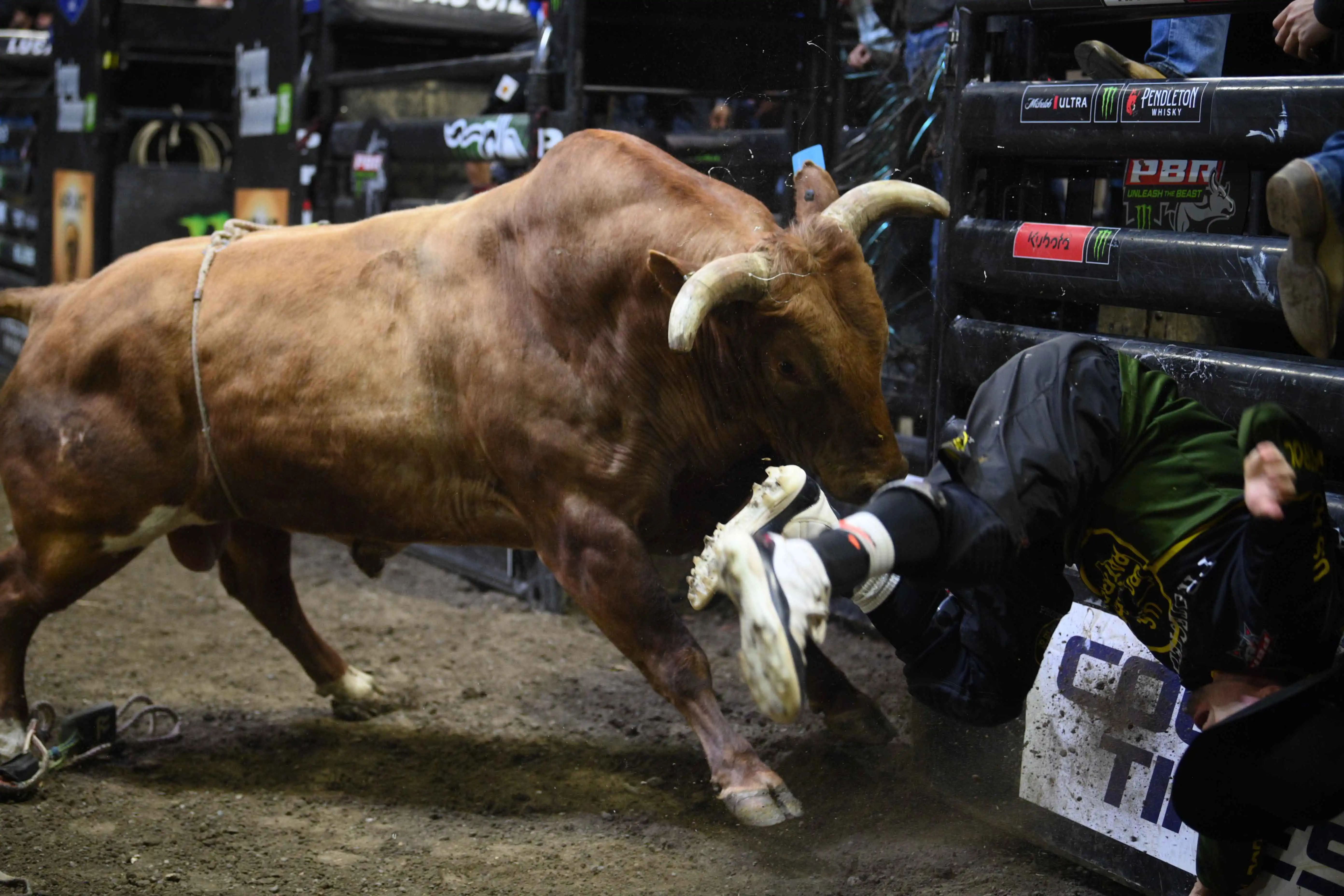 25 LIVE Billings 01 199