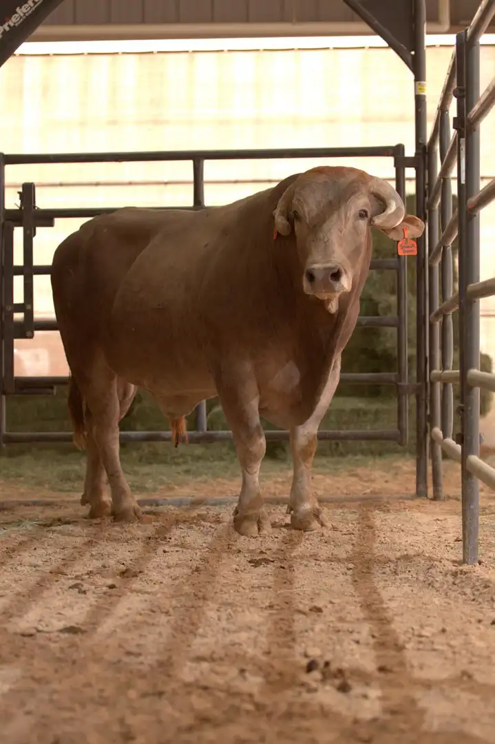 f7f2258e-d53f-4158-9c1f-dc739af433c7