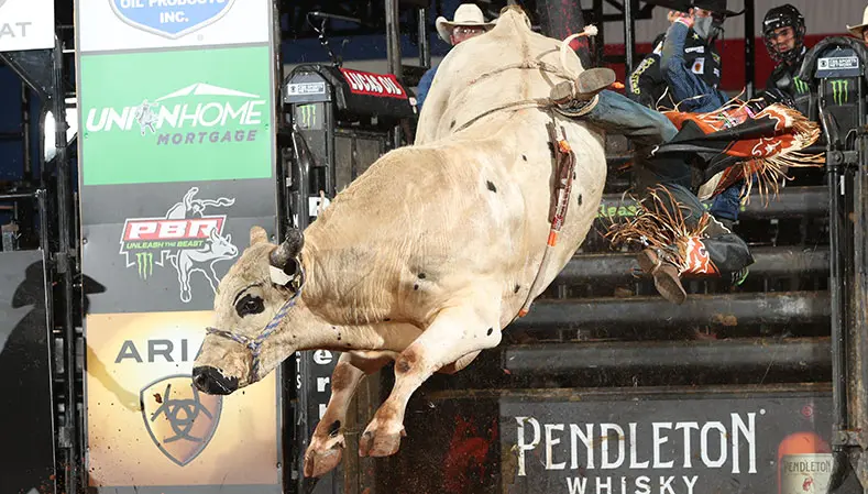 Remembering Air Support (2015-2020)