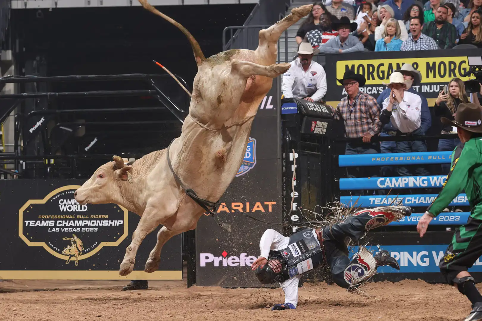 05f61002-4929-4a36-81b6-39fe01c3dab1