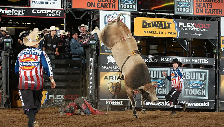 PBR Bull Week: Celebrating the sport’s three-time World Champion Bulls