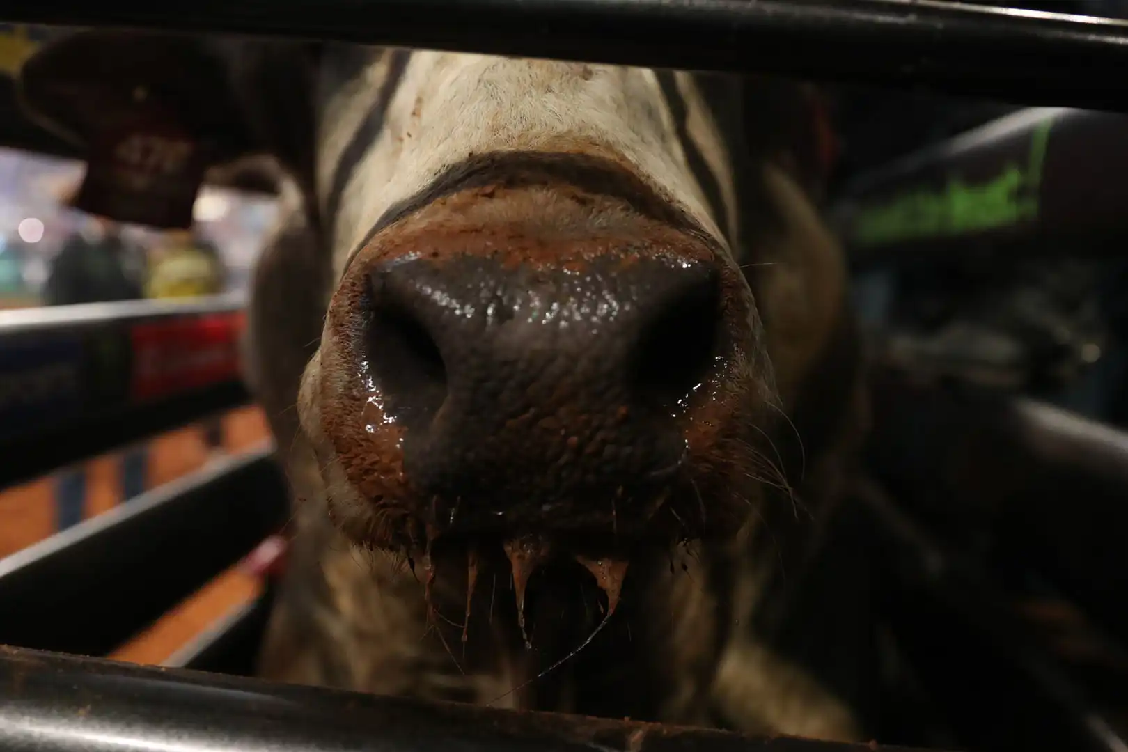 0e2d0cda-36c8-4de0-8954-0be2700b3289