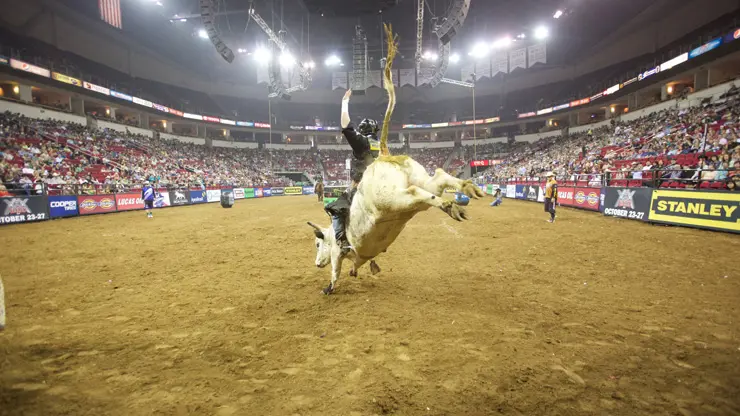 Box office is open for PBR 