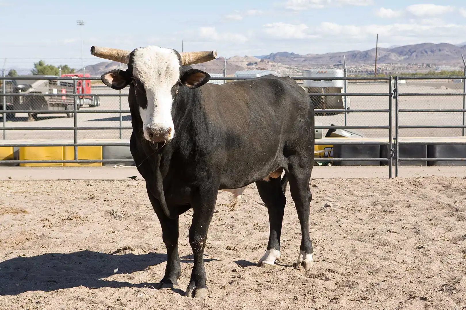 00a64e36-c474-4bfc-8963-fd364f9ef2dd