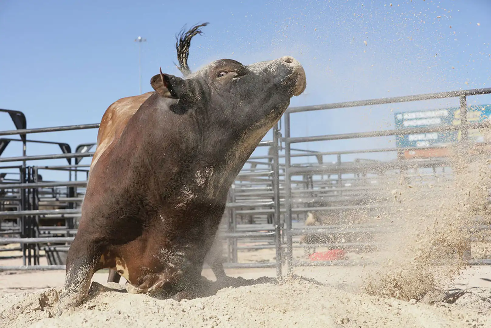 cf12eb7b-b84f-4743-9953-0a5c1f601d53