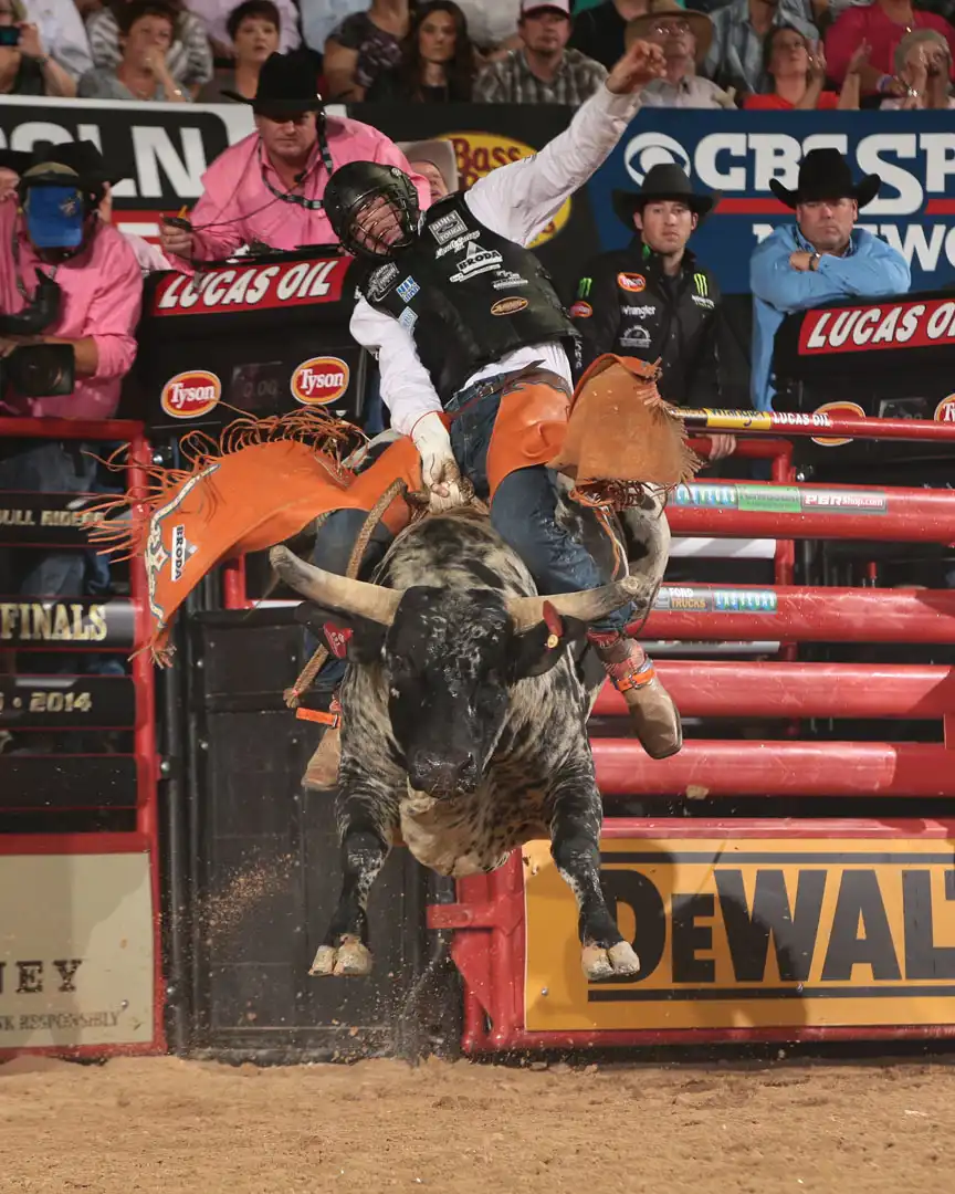 58a8100b-7c95-498e-b809-46ce230de4ef