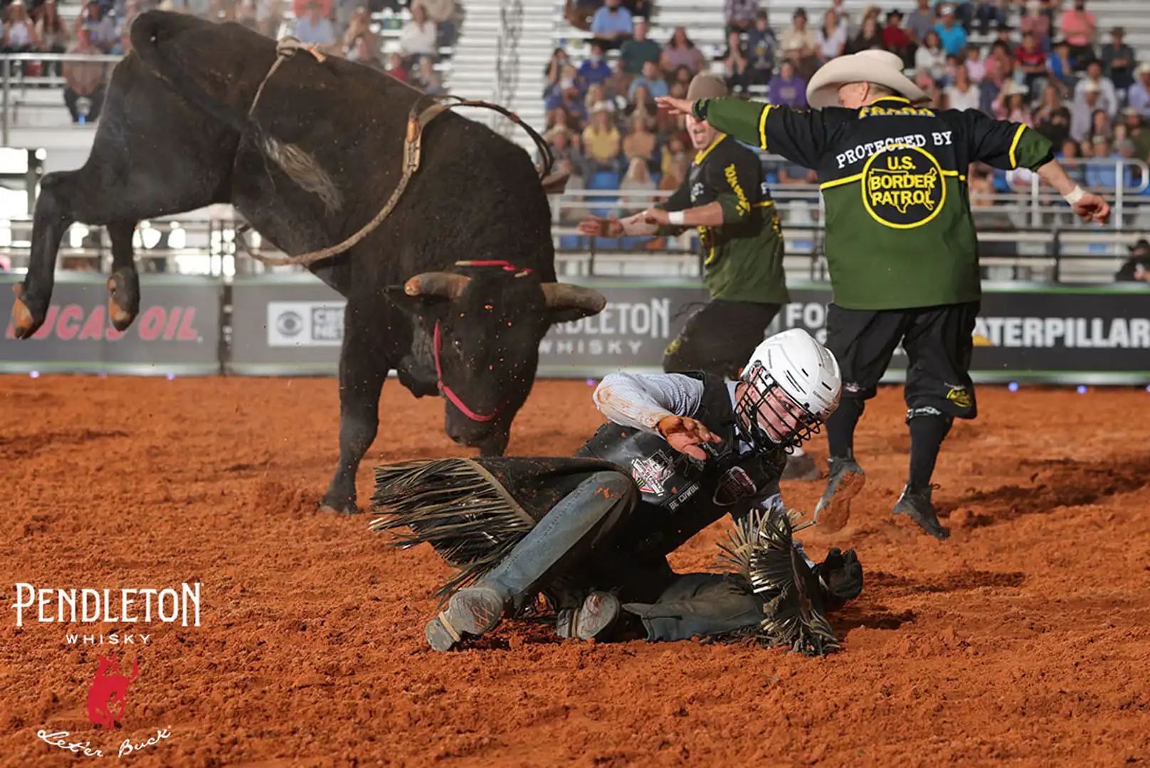 1497a68b-1d6d-4d78-ac56-4ead6024f06a