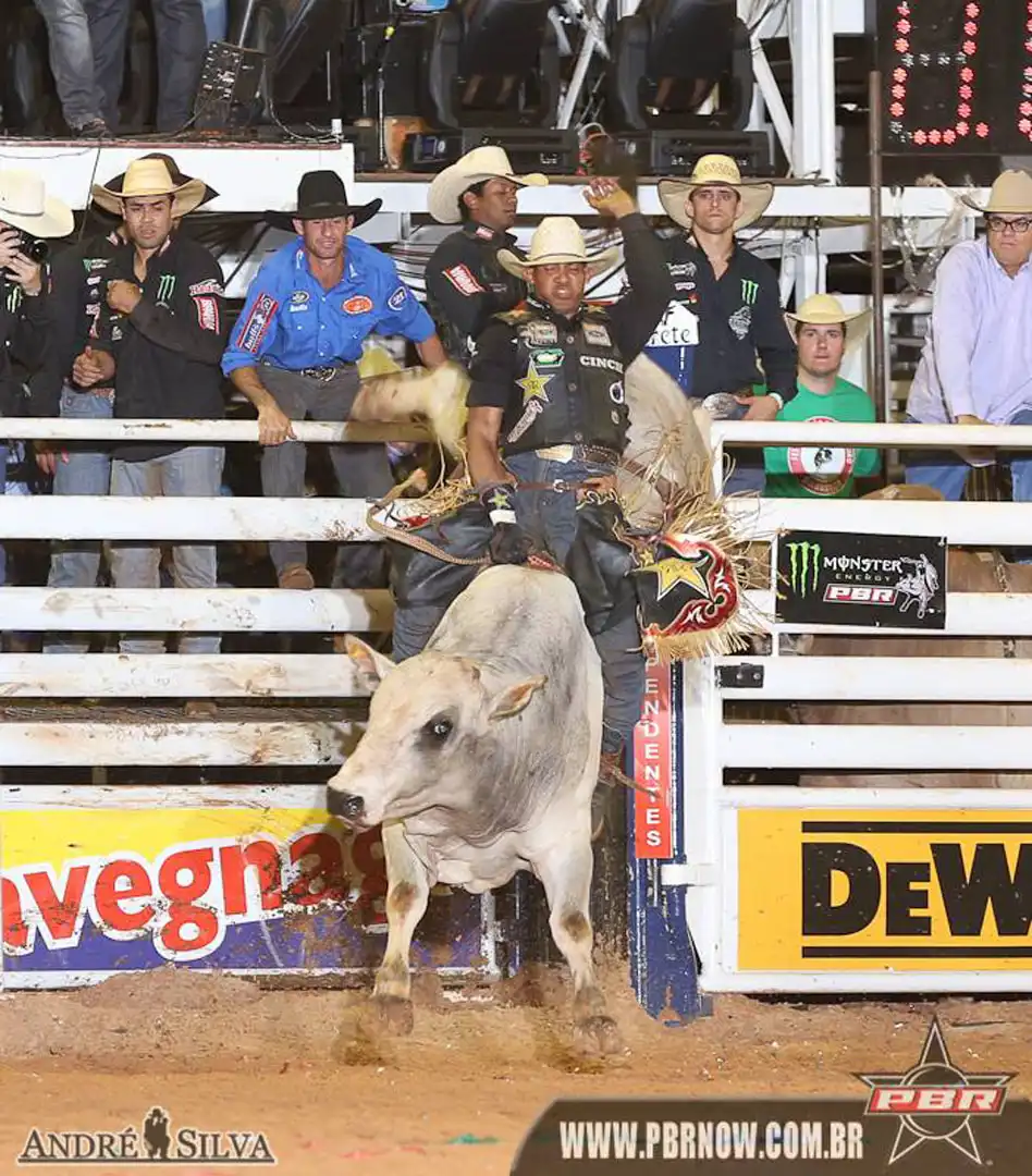 0e47333d-8daa-4642-a9ea-749955fad224