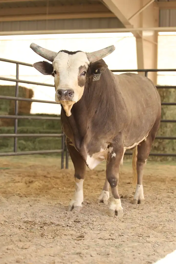 e194825c-0255-4b1c-a5c1-fb04b62ff189