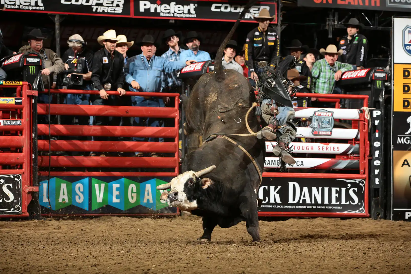 cb755fea-22ef-420f-bec8-bb405491bbed