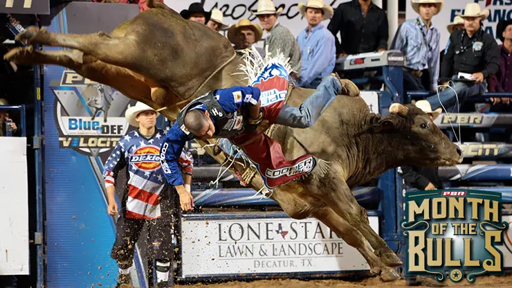 Lambert breaks down top active bulls