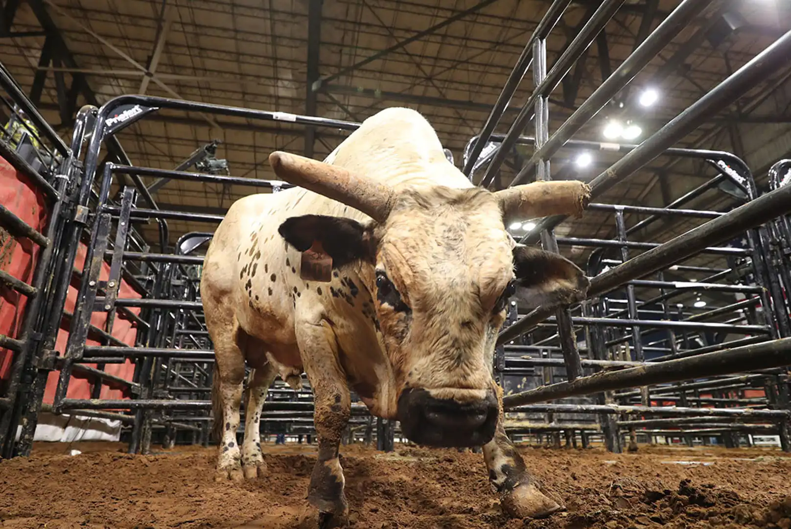 d6d79c54-b4cf-41dd-a289-904160a50aa3