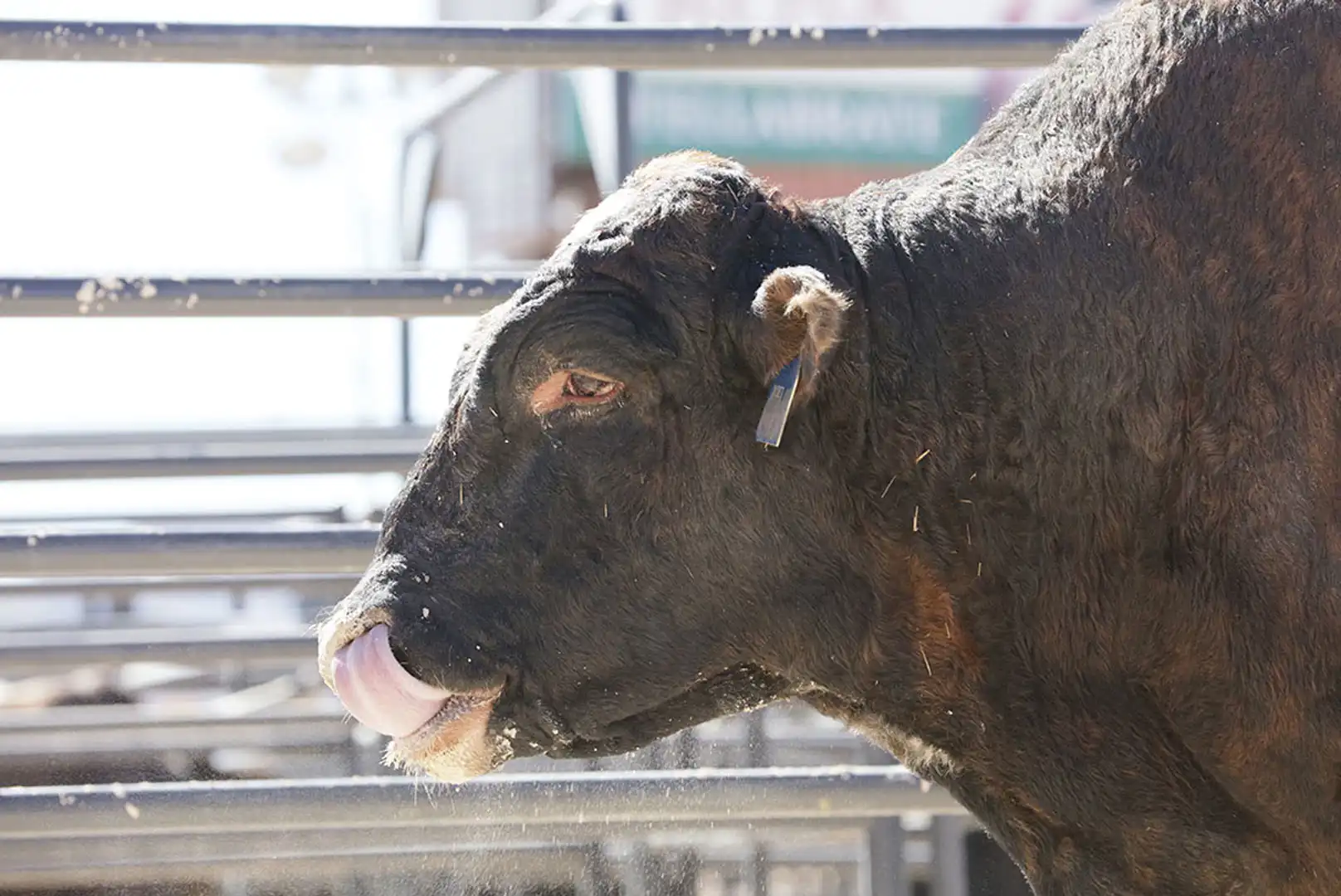 0a5af047-2fa8-49b5-8744-84618331dc5f