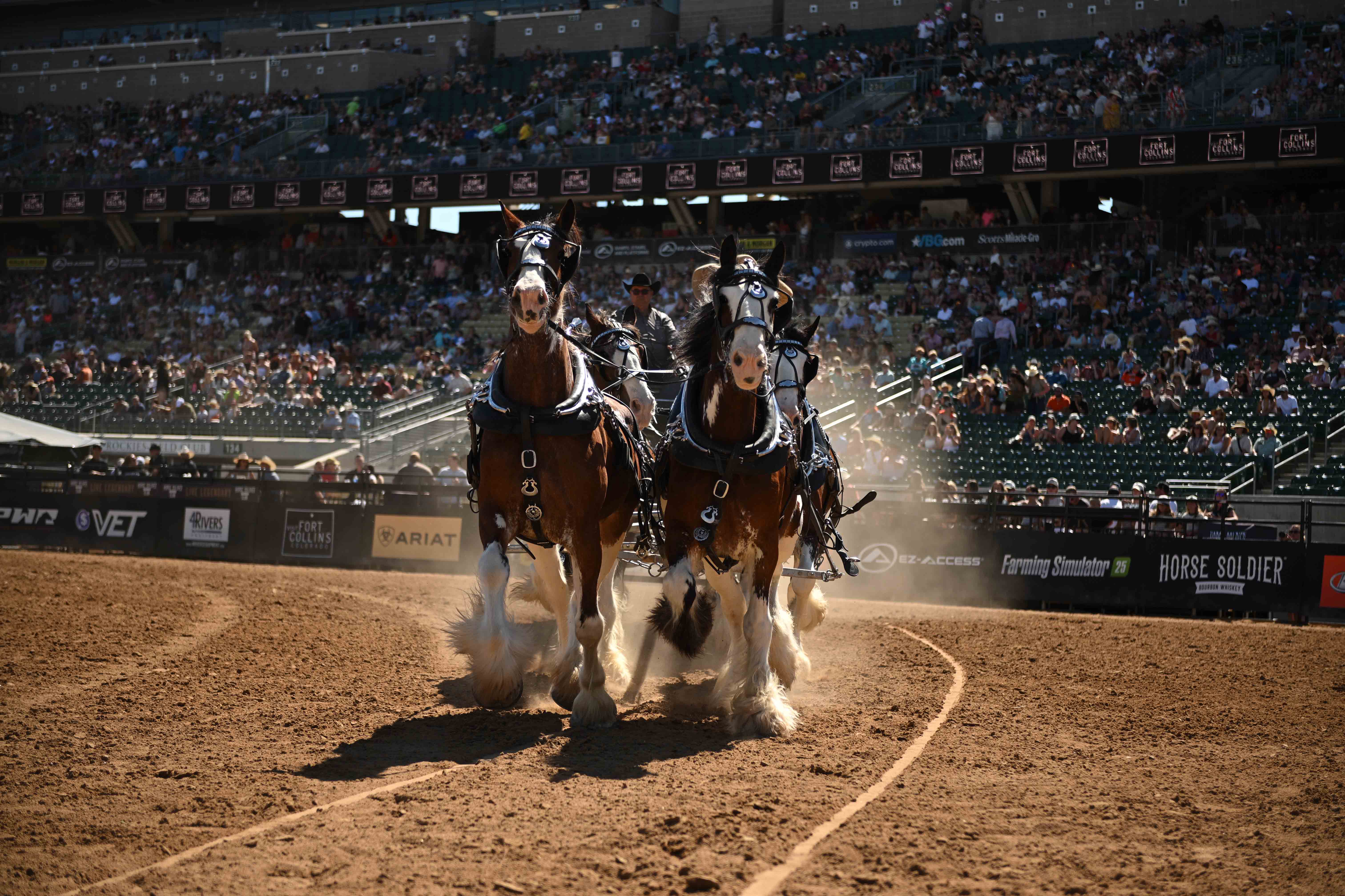 Play Bull Riding PBR | Behind the Lens: PBR Bulls and Beats