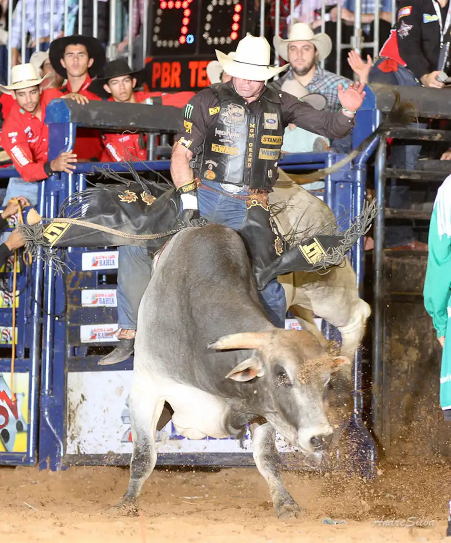 fff77ea5-dd98-4a93-ad9d-83b834052a5d