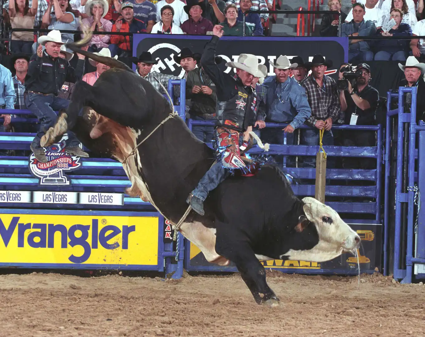 991bb556-1823-4bd4-a5d3-dc1407073fdc