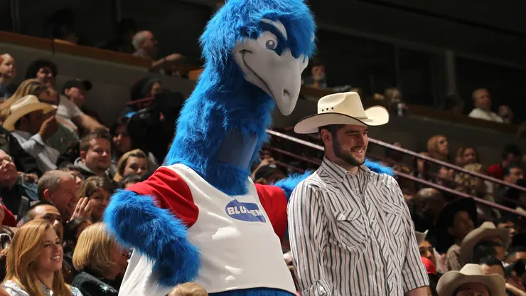PBR, Blue-Emu announce renewed partnership