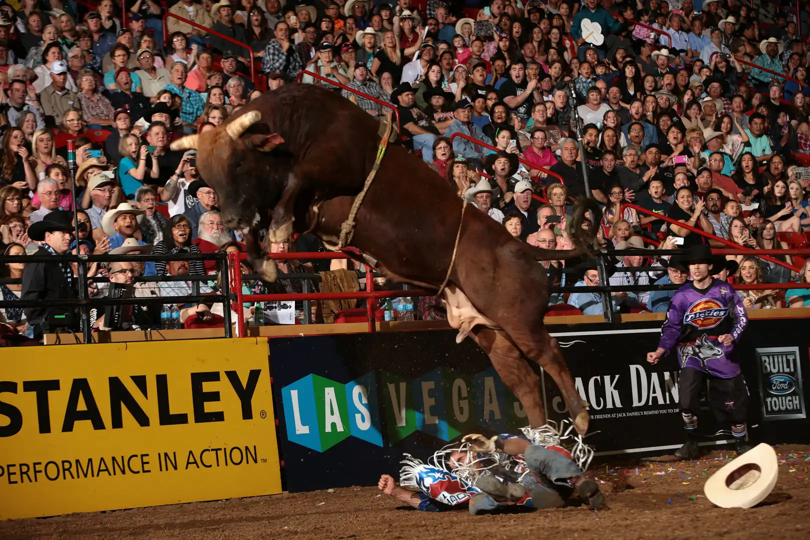 ae533583-e9dc-4a6b-88fc-ead7b48c6106