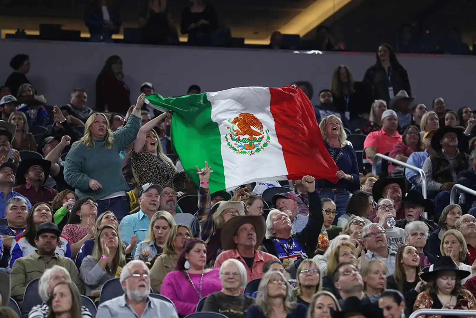 16202a5e-4534-4808-a649-b8c886f7e313