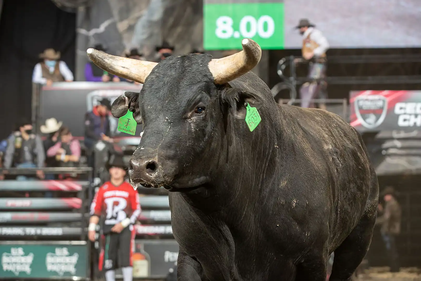 84ebc74d-9e8b-4ae5-9cda-a239c75c6a3f