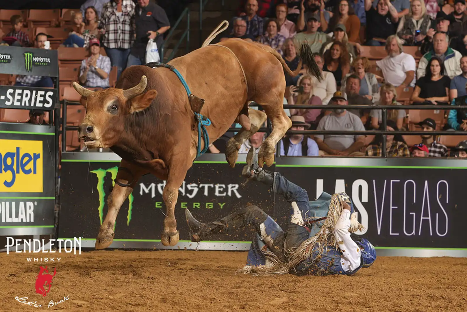 6d54ede8-be2b-4e5f-9c48-21f31fe83c62