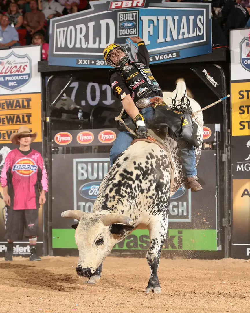 95de9fee-6a8d-4c59-b6cb-49b07b999886