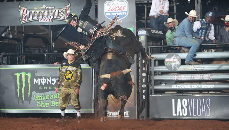 Chiseled joins Smooth Operator atop the YETI World Champion Bull standings