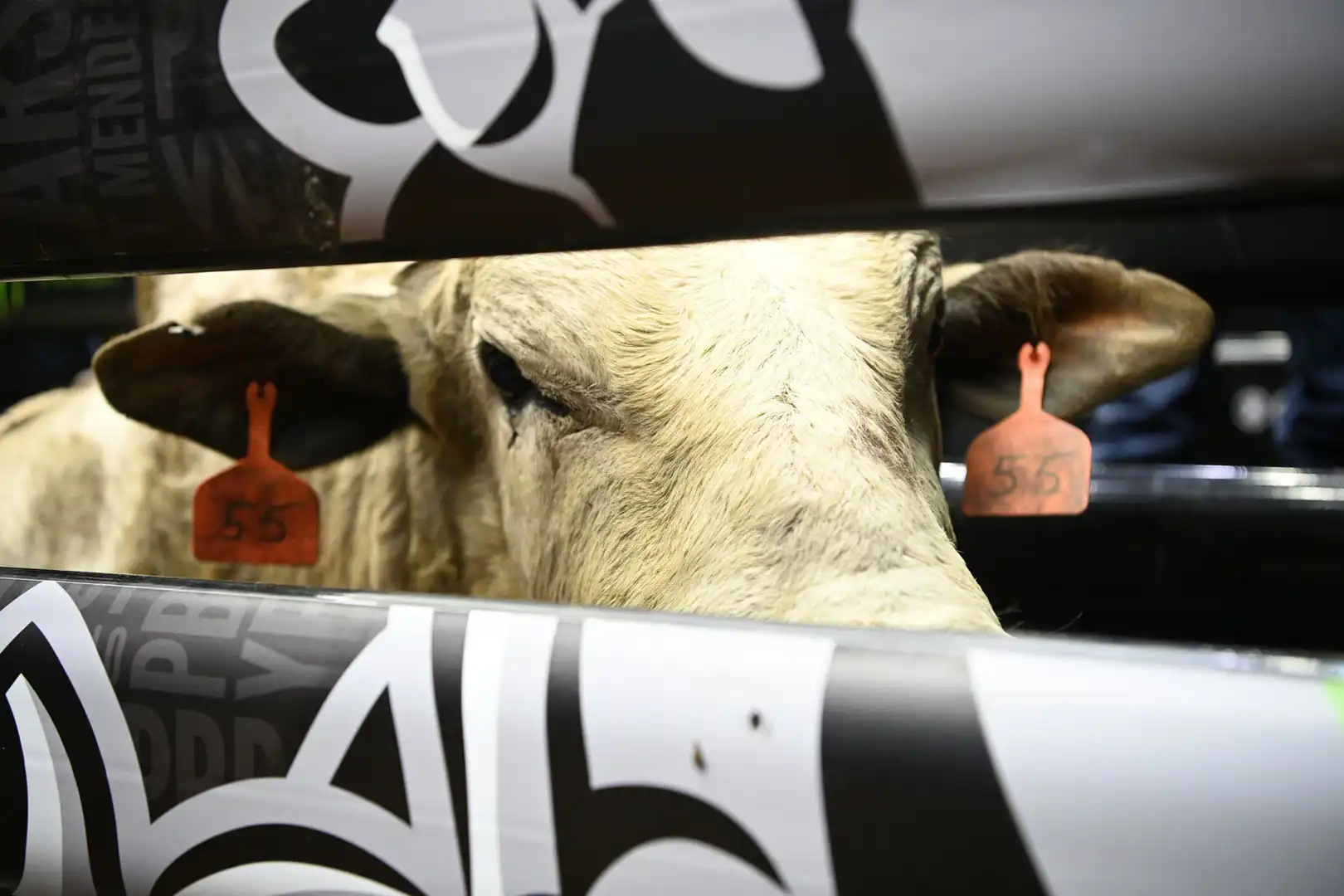 fc2e230e-a16c-48b6-8ee8-32b819178d22