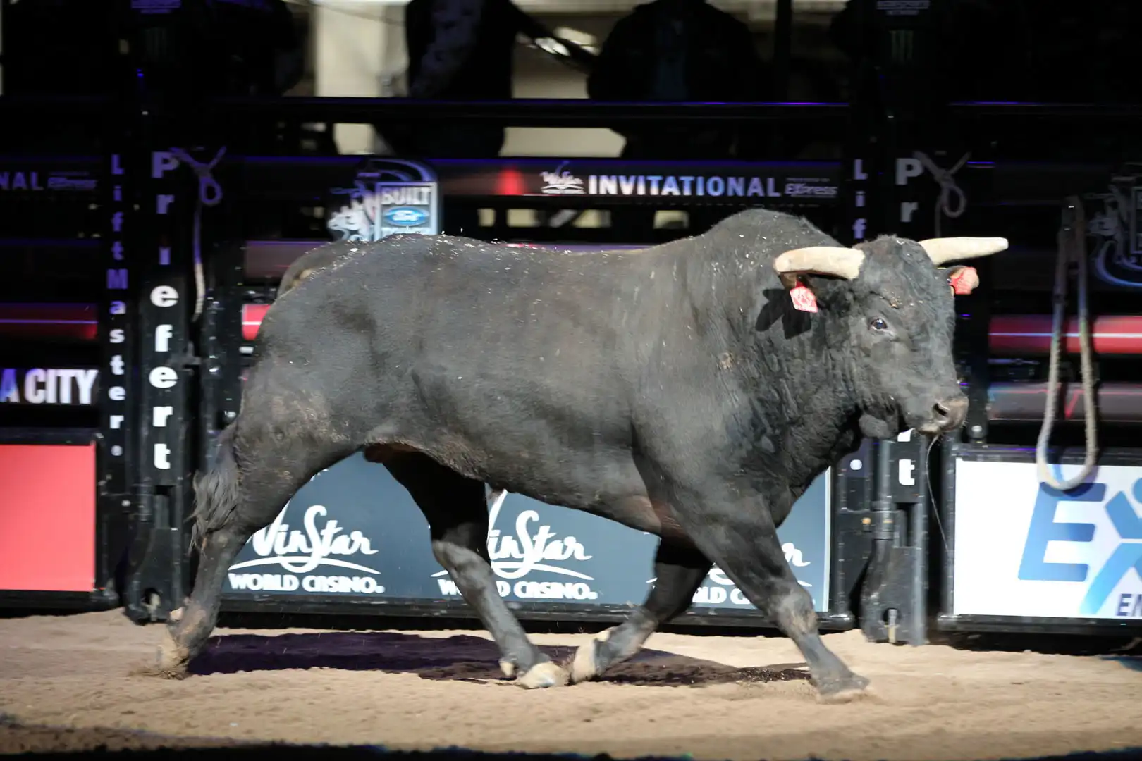 4f7a7034-01f7-4f47-a455-4b40f7770da6