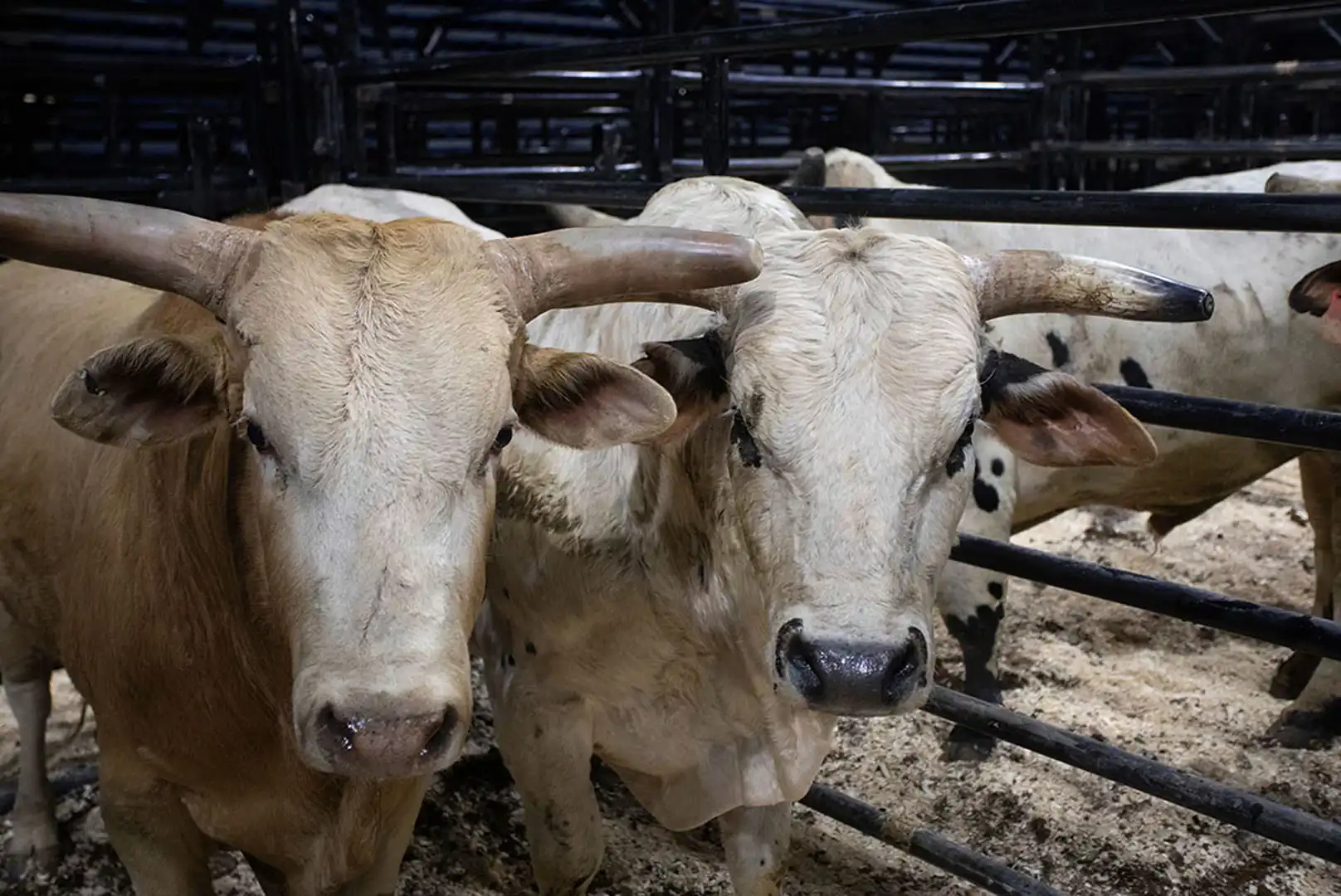 ccf6e29e-6c05-4c85-bd78-64d2fd792e24